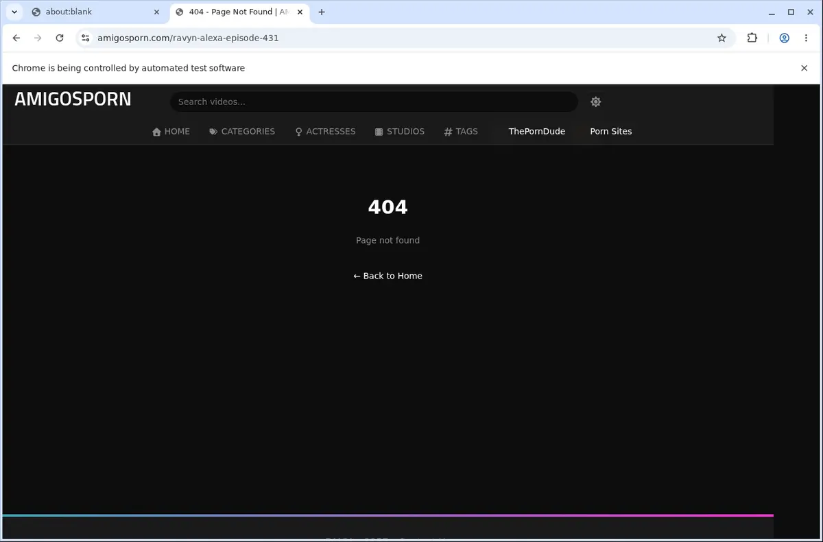 AmigosPorn Downloader page open in the browser