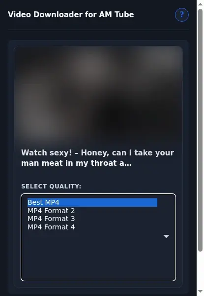 AM Tube Downloader format dropdown options