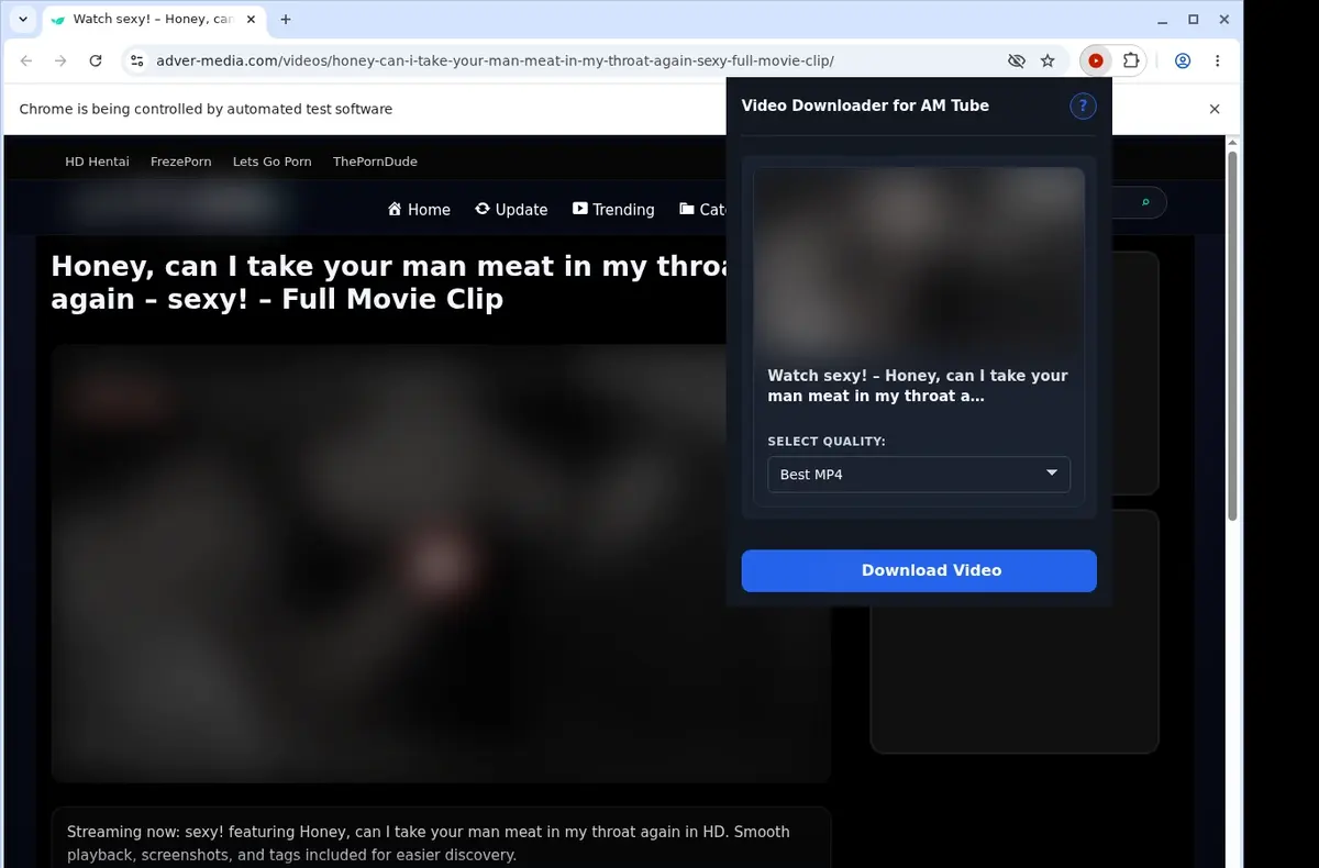 AM Tube Downloader showing detected media ready to download