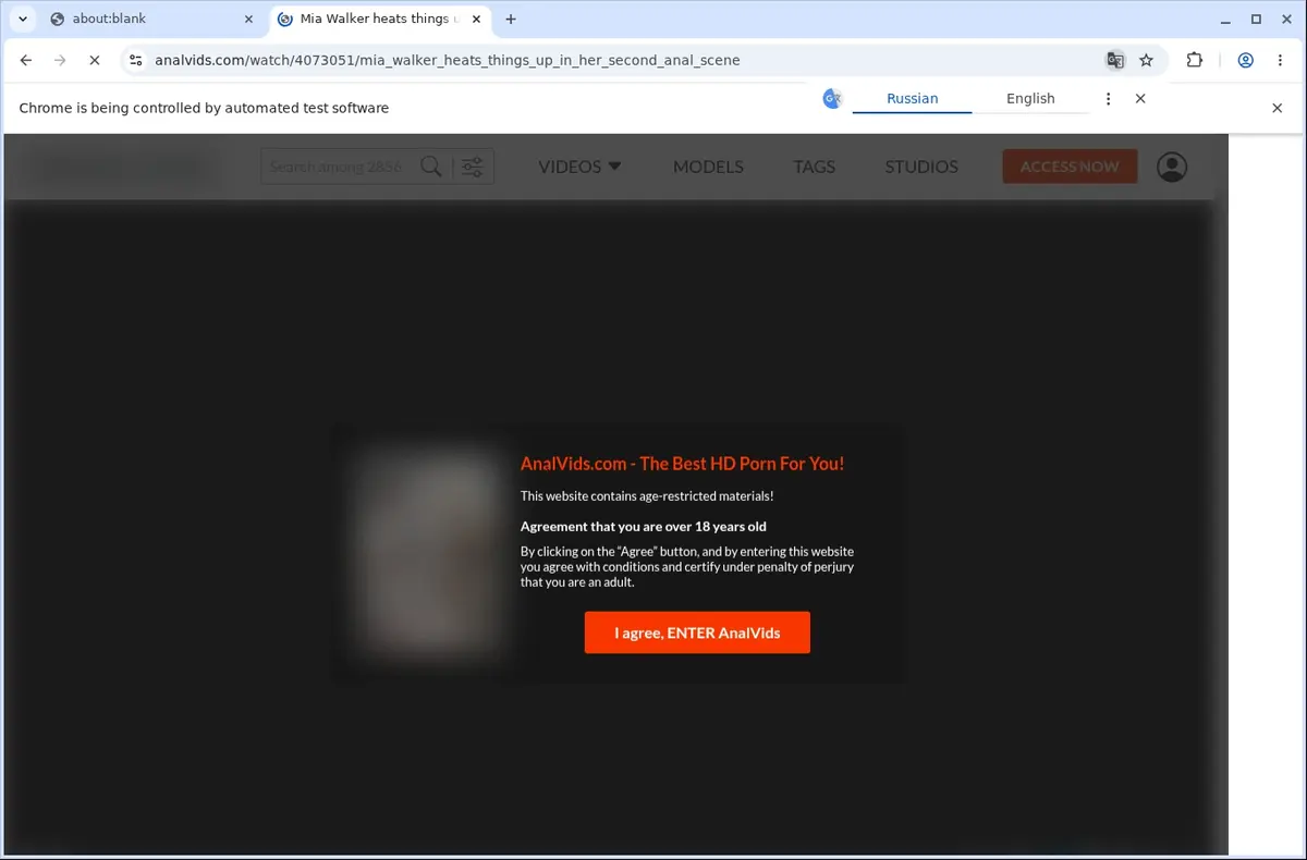 AnalVids Video Downloader page open in the browser