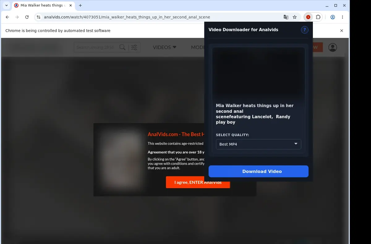 AnalVids Video Downloader showing detected media ready to download
