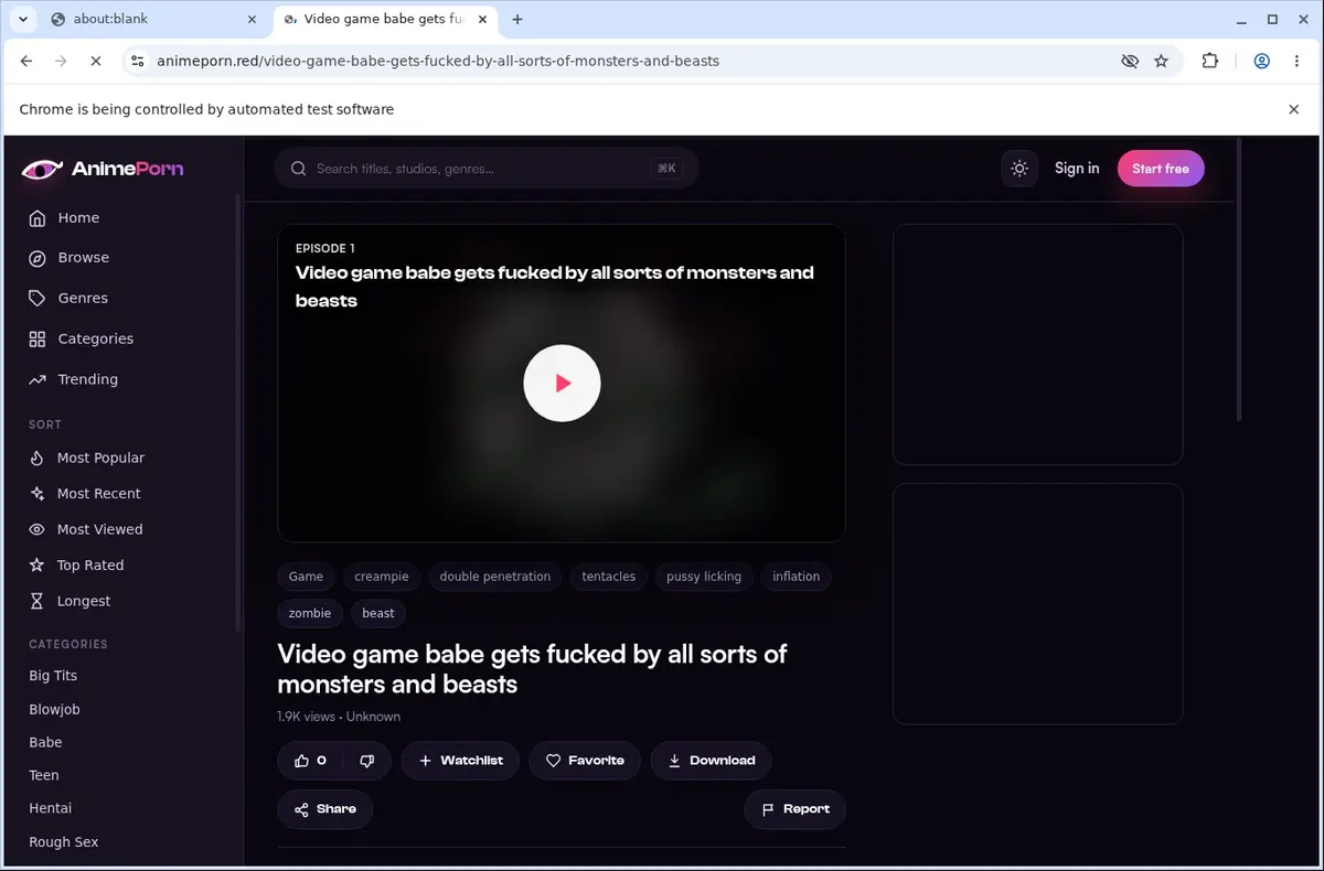 Animeporn Video Downloader page open in the browser