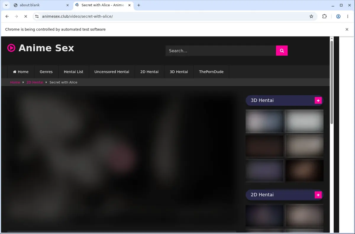 Animesex Video Downloader page open in the browser