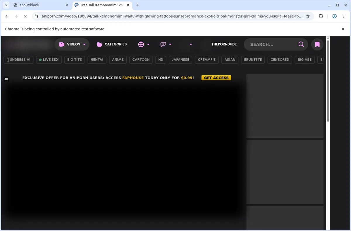Aniporn Video Downloader page open in the browser