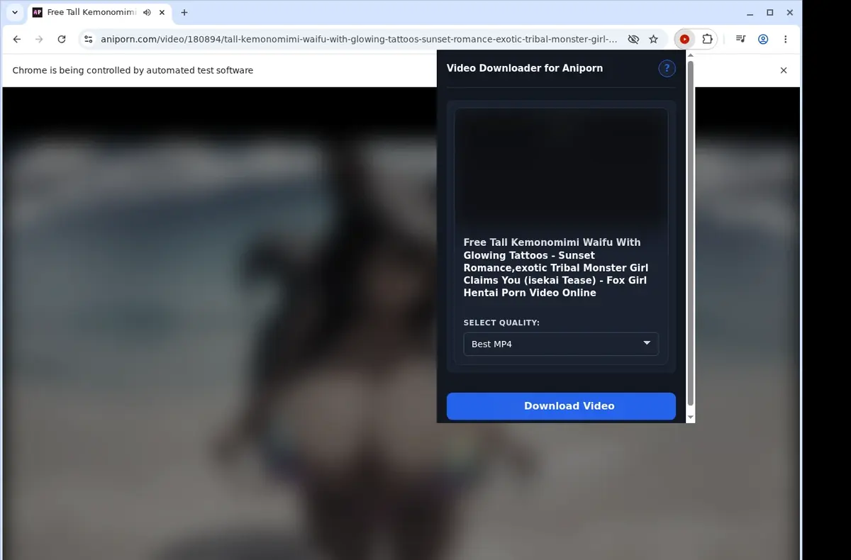 Aniporn Video Downloader showing detected media ready to download