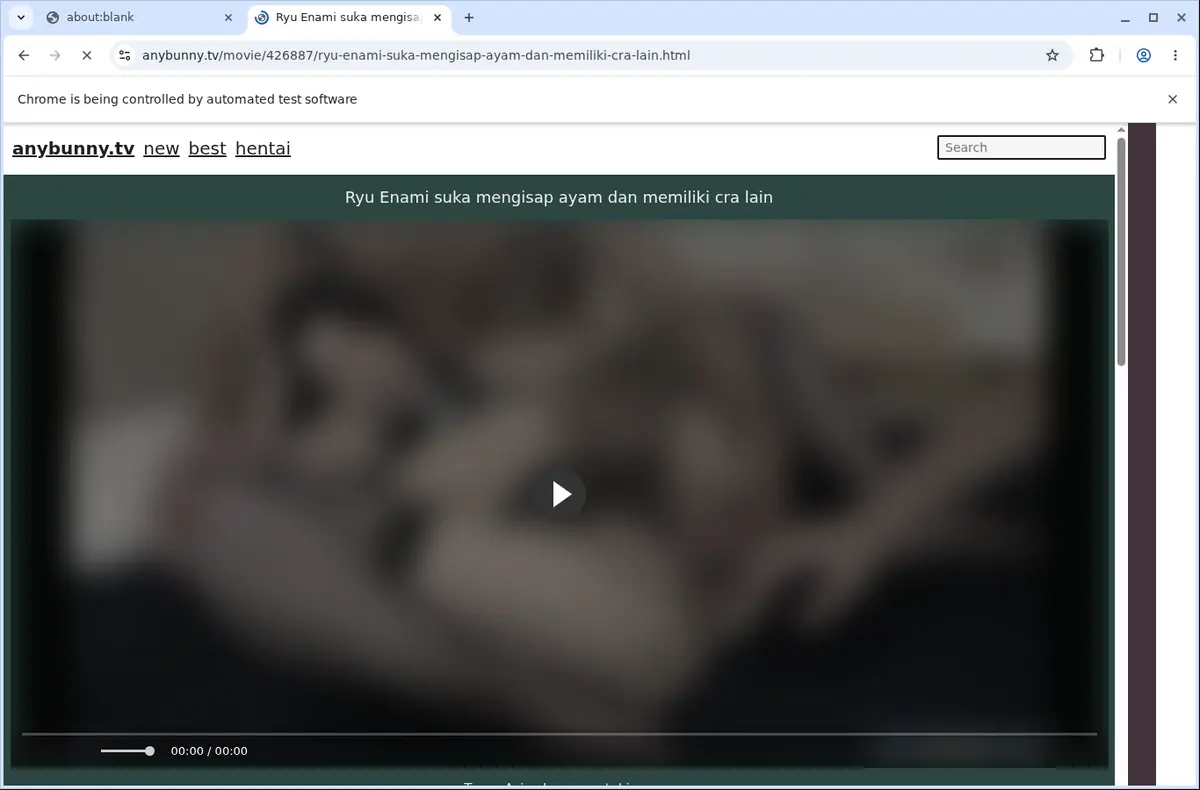 AnyBunny Downloader page open in the browser
