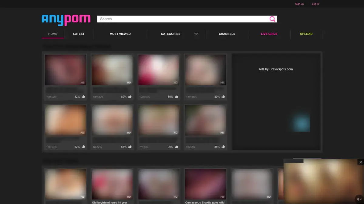 AnyPorn Downloader page open in the browser