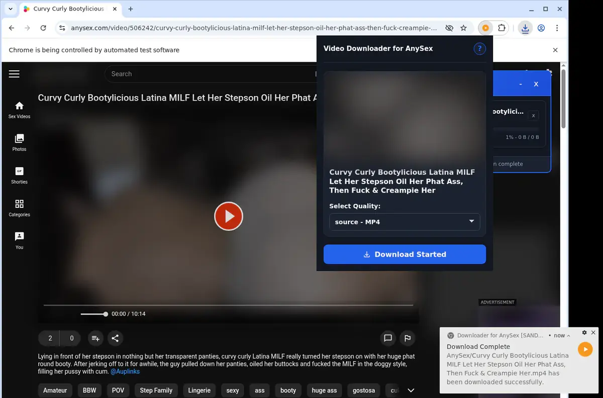 AnySex Downloader download progress panel