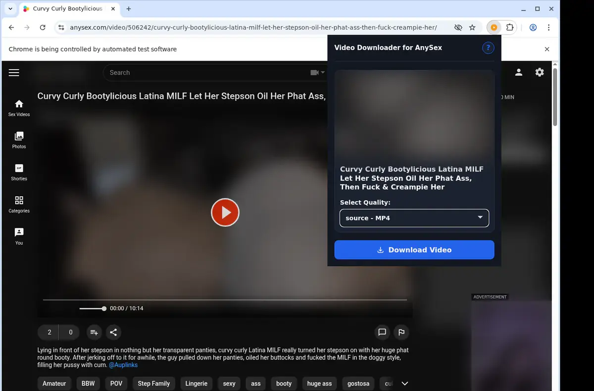 AnySex Downloader showing detected media ready to download