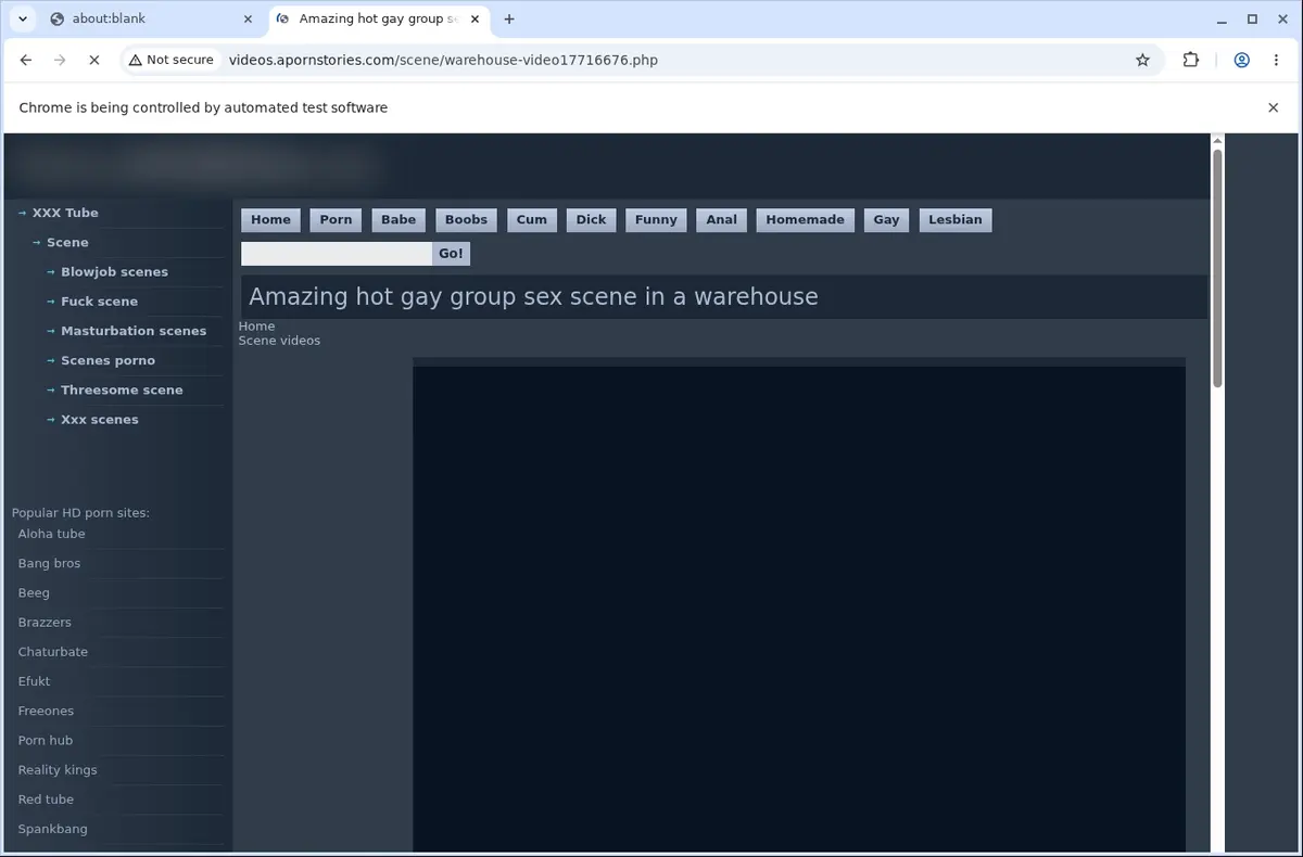 Apornstories Downloader page open in the browser