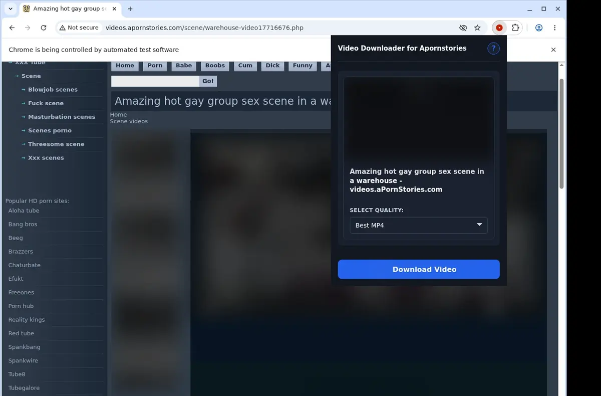 Apornstories Downloader showing detected media ready to download