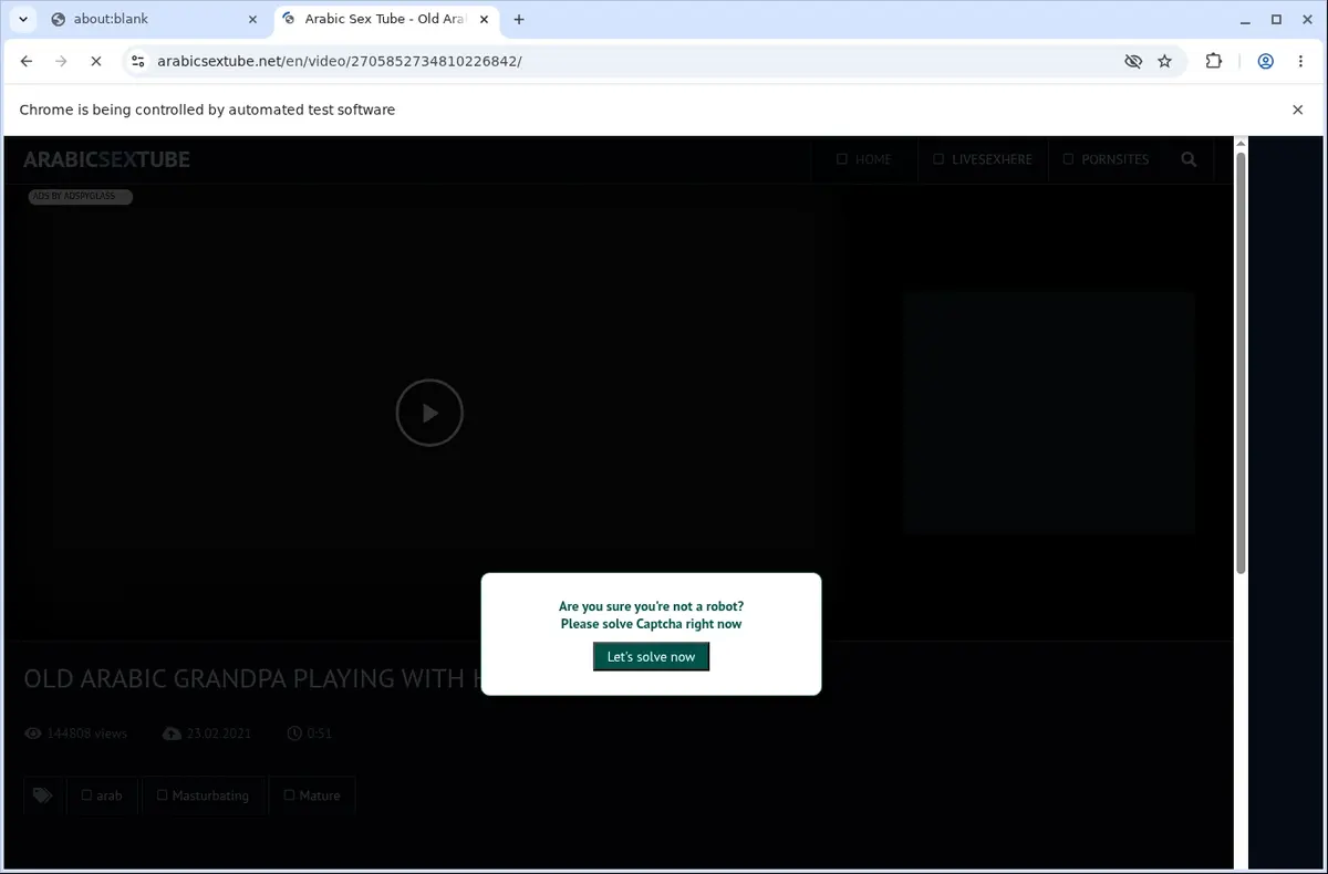 Arabicsextube Video Downloader page open in the browser