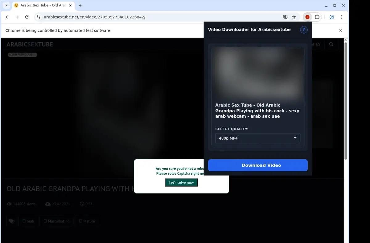 Arabicsextube Video Downloader showing detected media ready to download