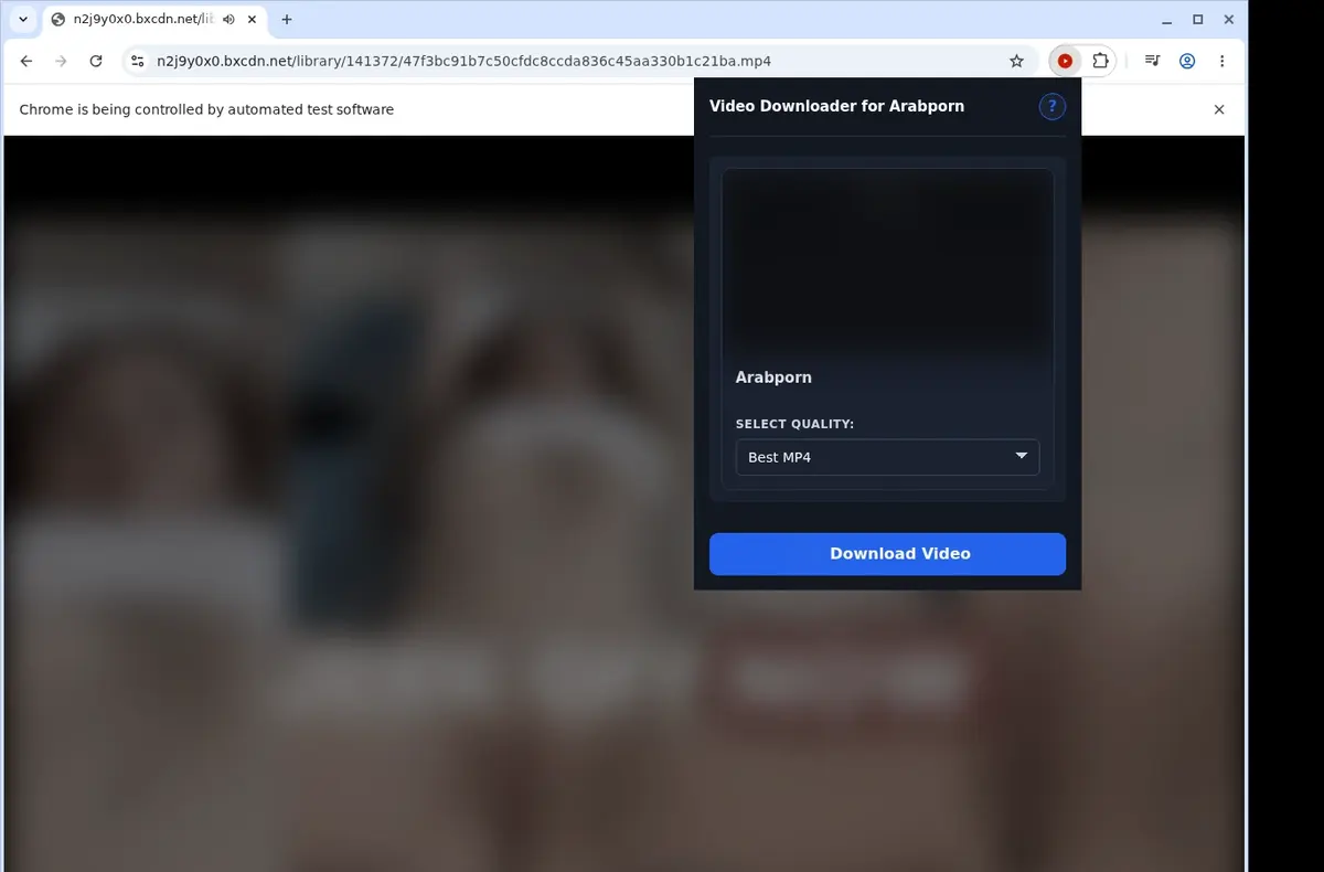 Arabporn Video Downloader showing detected media ready to download
