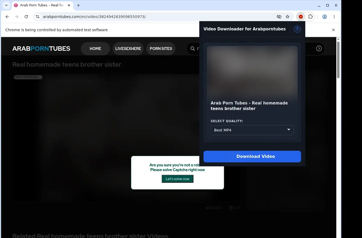Arabporntubes Video Downloader showing detected media ready to download