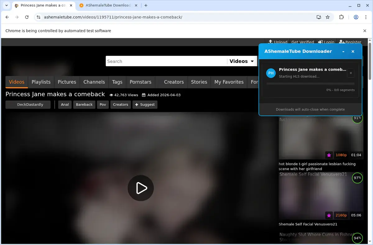 AShemaleTube Video Downloader download progress panel