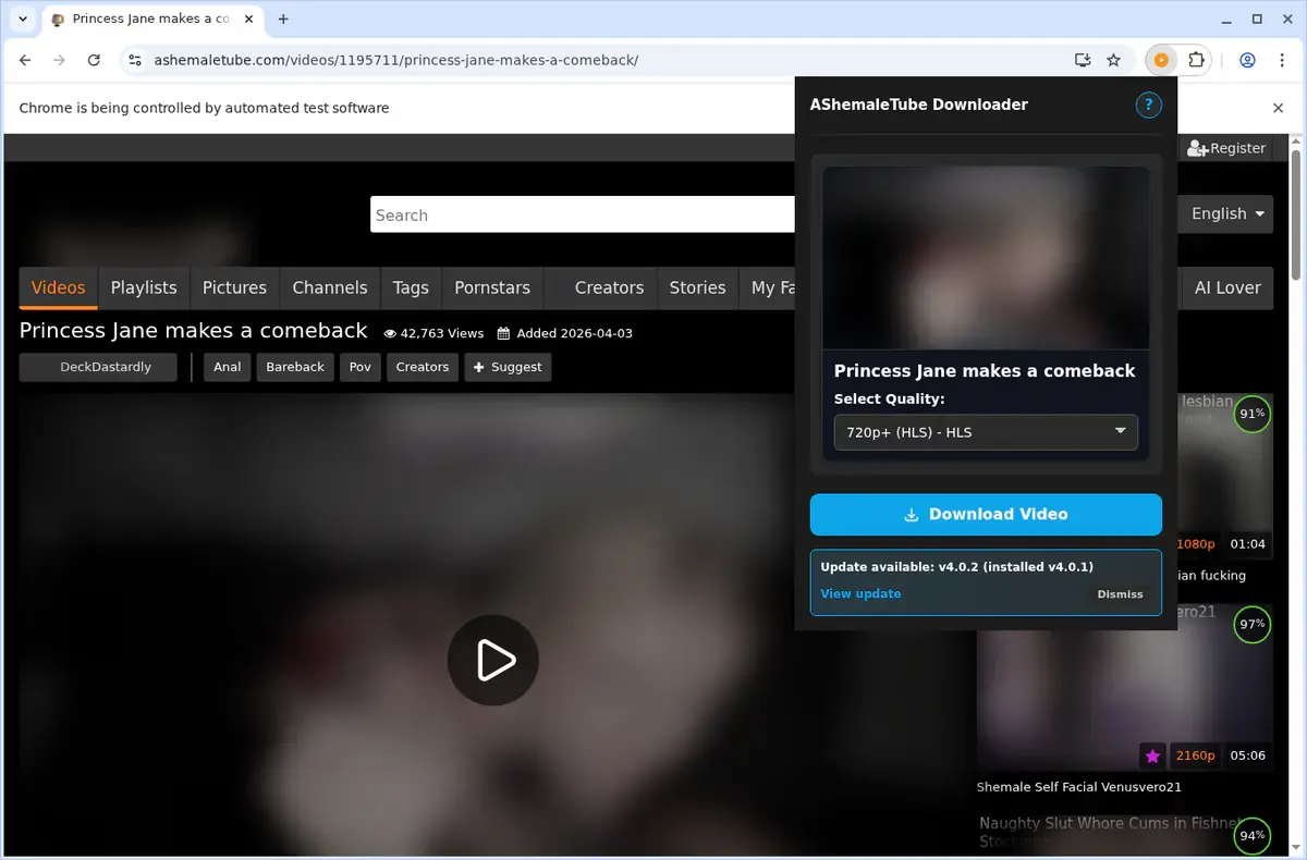 AShemaleTube Video Downloader showing detected media ready to download