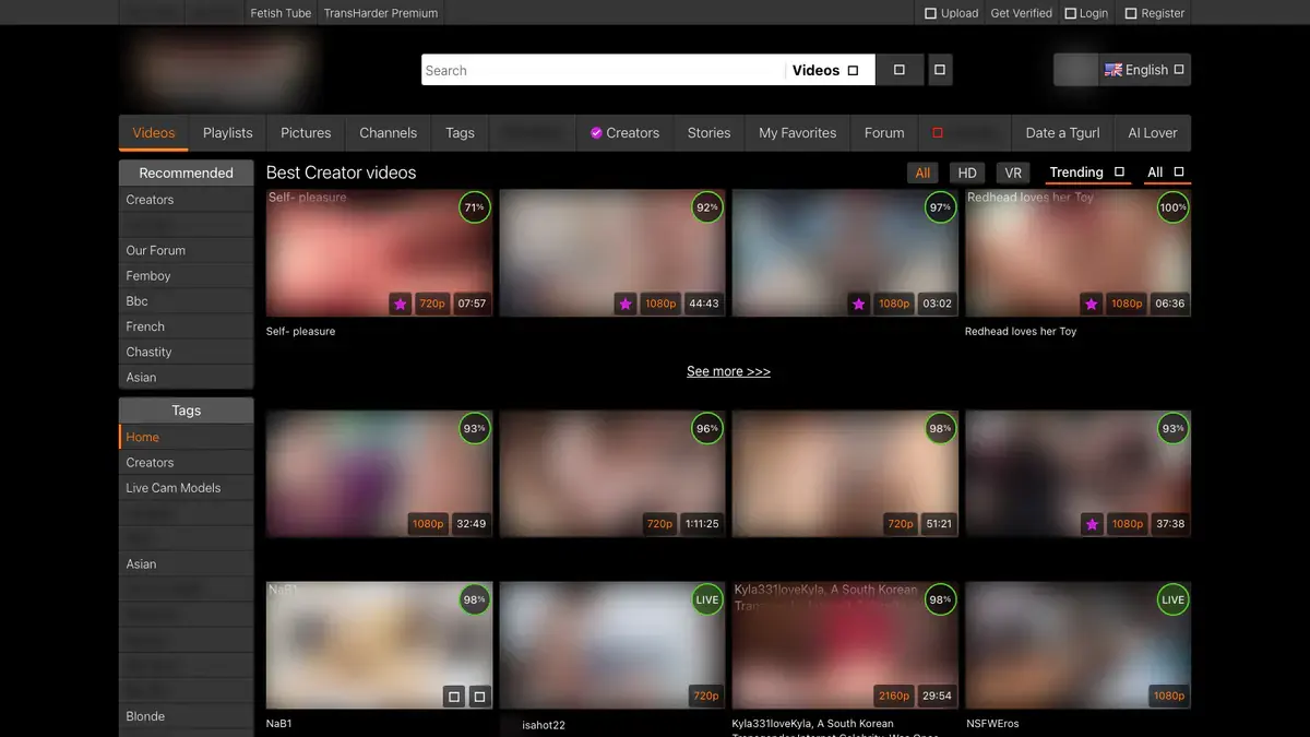 AShemaleTube Video Downloader page open in the browser