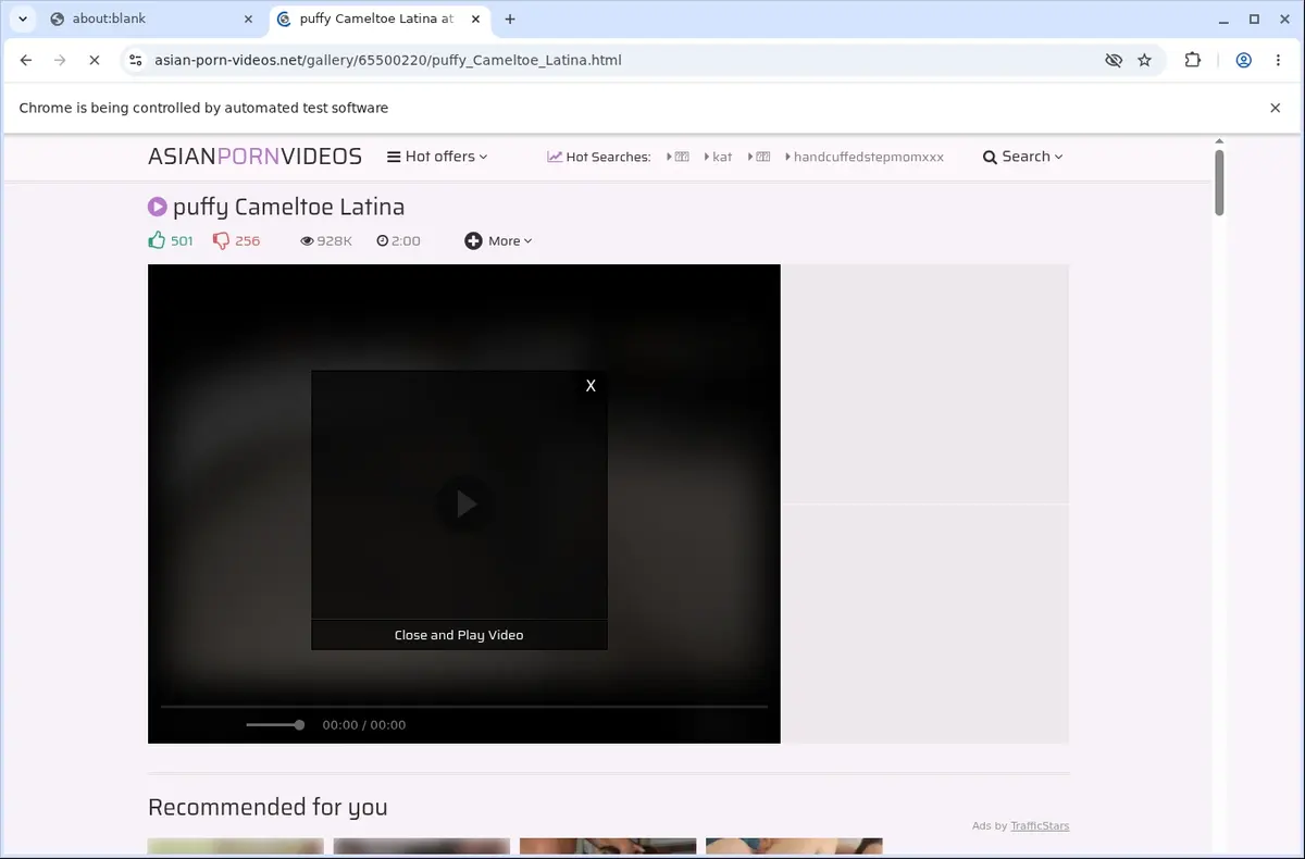 Asian Porn Videos Downloader page open in the browser