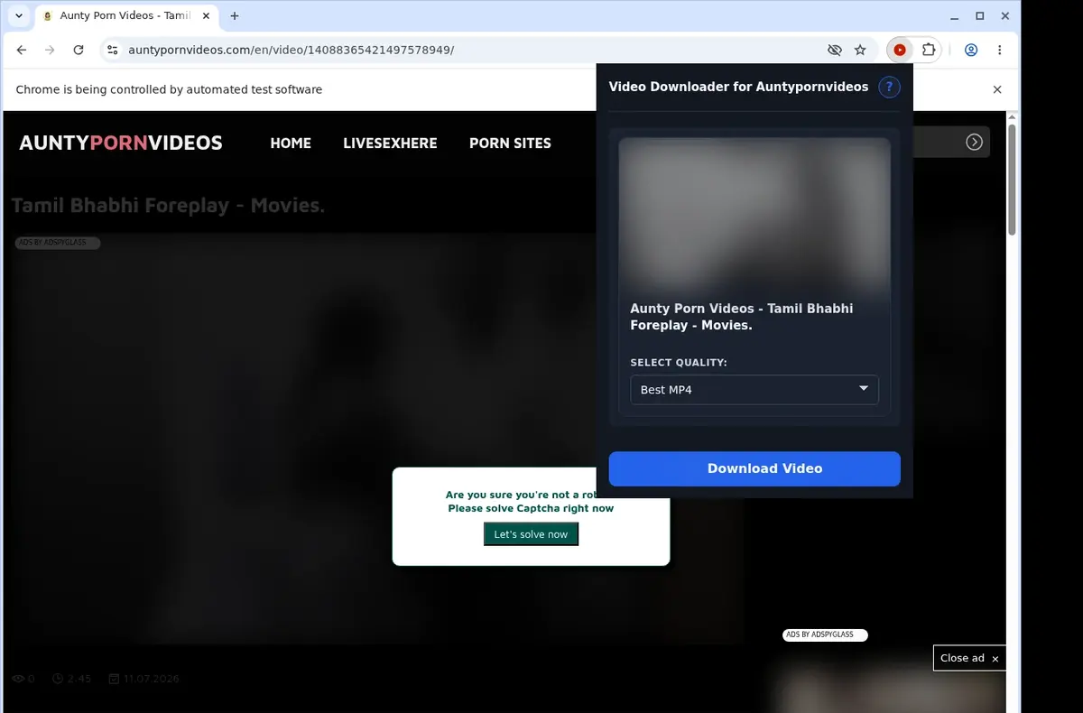 Auntypornvideos Video Downloader showing detected media ready to download