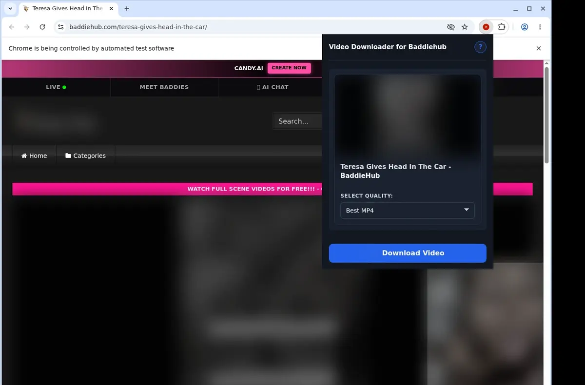 Baddiehub Downloader showing detected media ready to download
