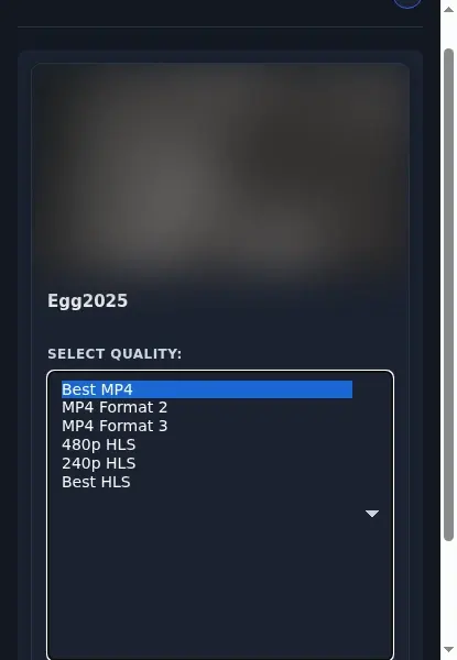 Baddies Video Downloader format dropdown options