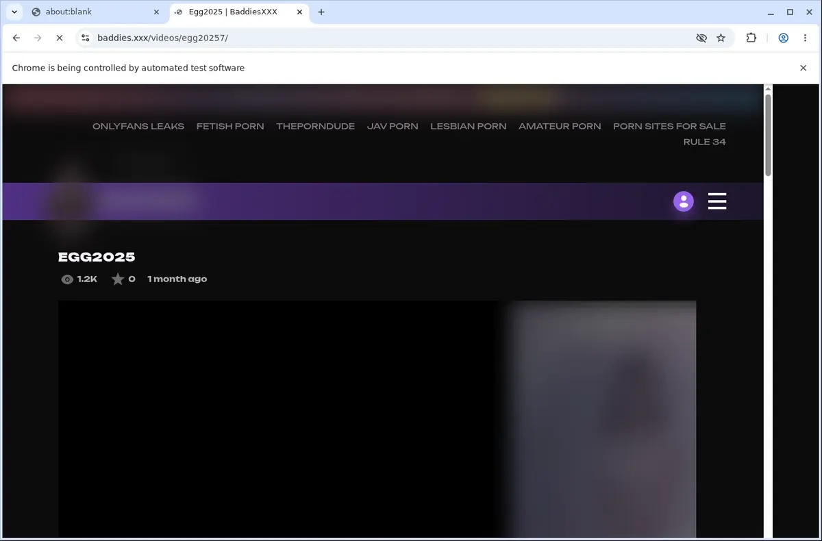 Baddies Video Downloader page open in the browser