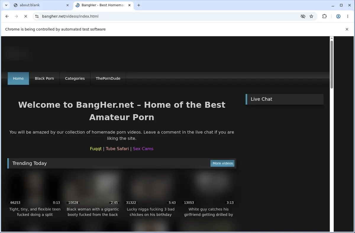 Bangher Downloader page open in the browser
