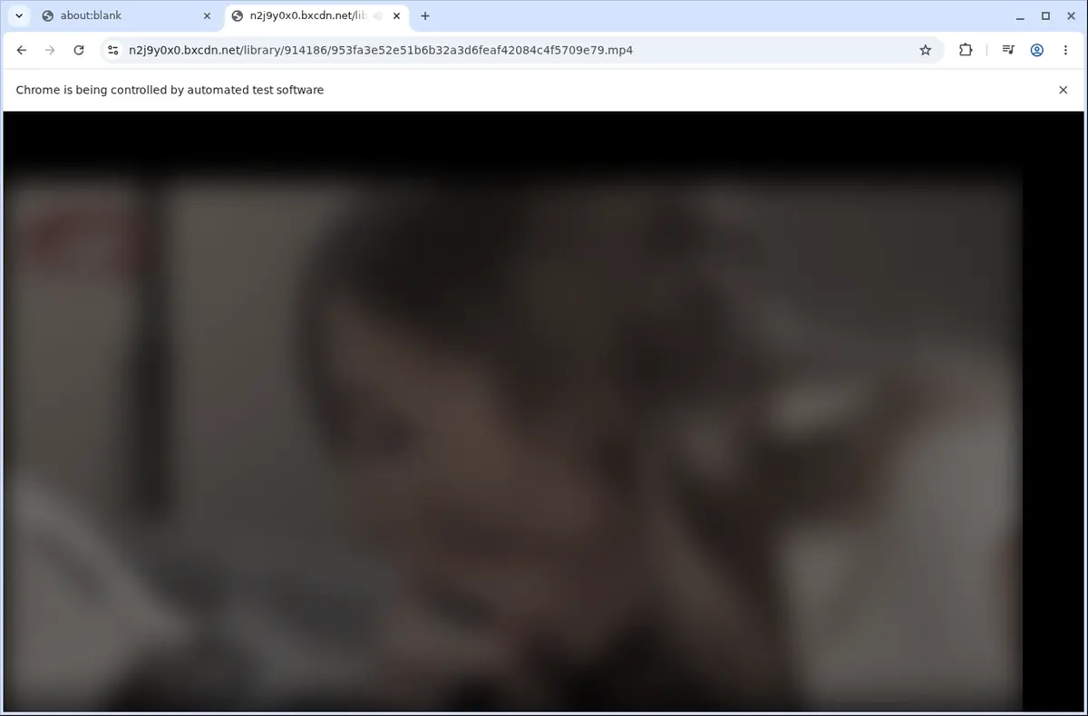 BBWBaker Downloader page open in the browser