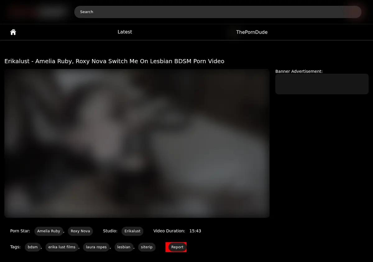 Bdsmship Downloader page open in the browser
