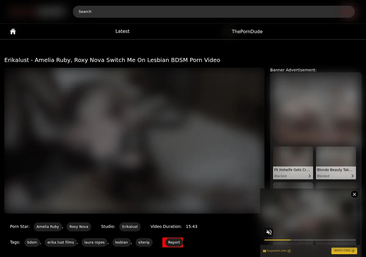 Bdsmship Downloader showing detected media ready to download