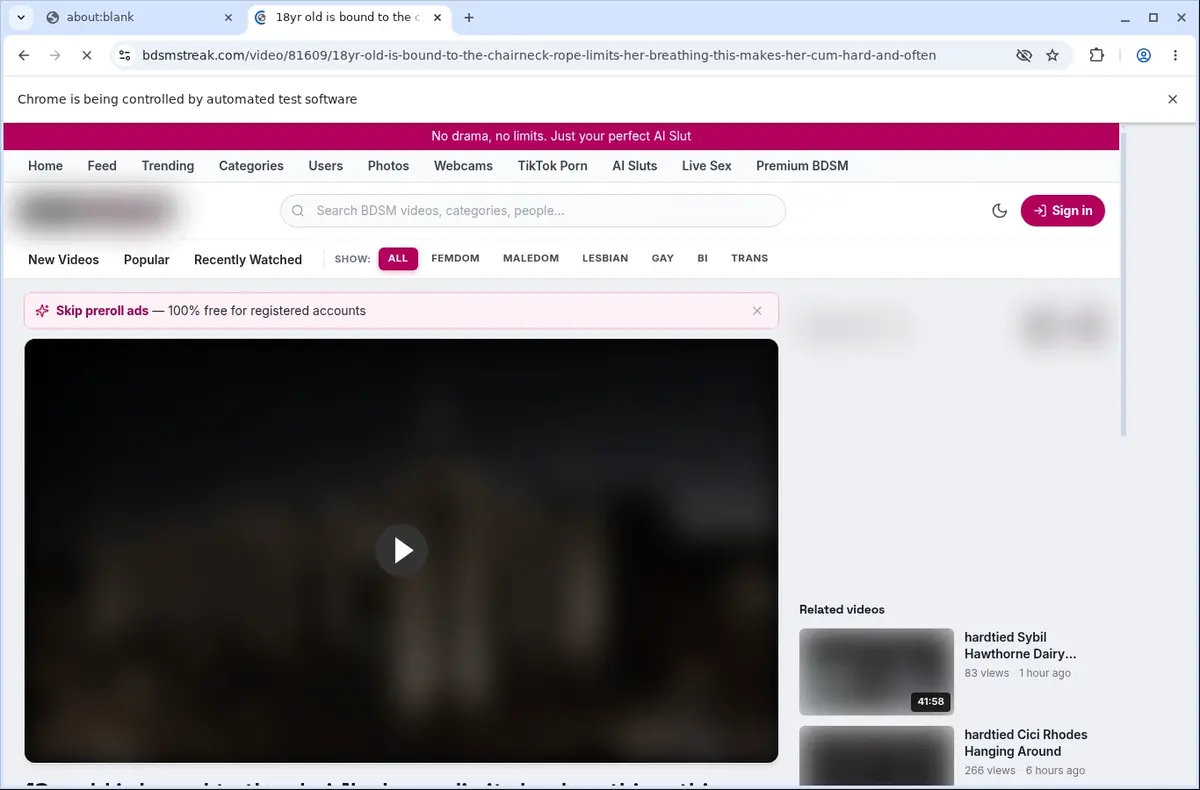 Bdsmstreak Downloader page open in the browser