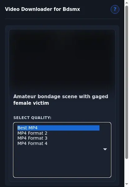 Bdsmx Downloader format dropdown options