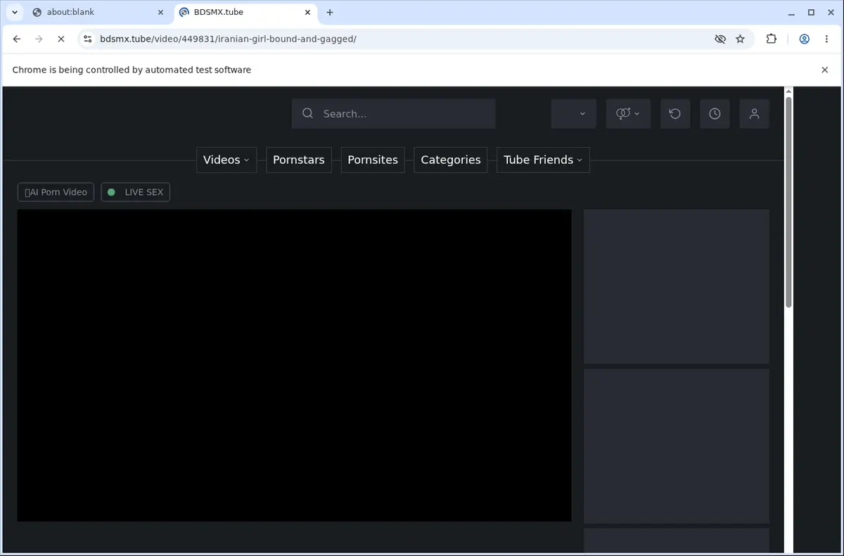 Bdsmx Downloader page open in the browser