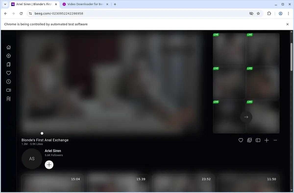 Beeg Video Downloader download progress panel