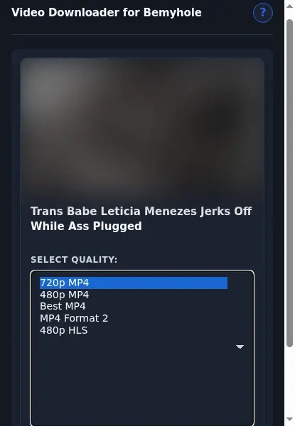 Bemyhole Downloader format dropdown options