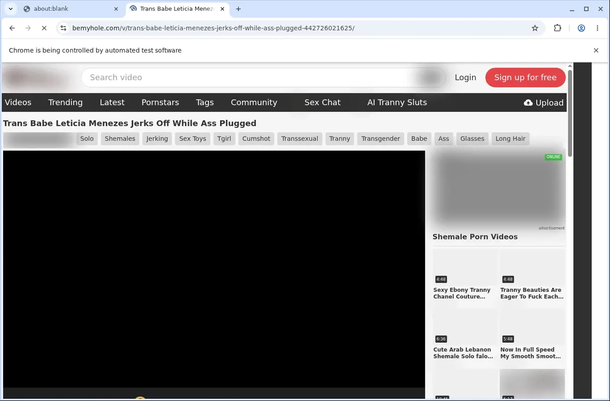 Bemyhole Downloader page open in the browser