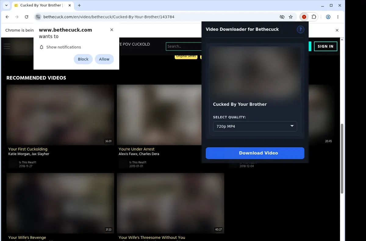 BeTheCuck Video Downloader showing detected media ready to download