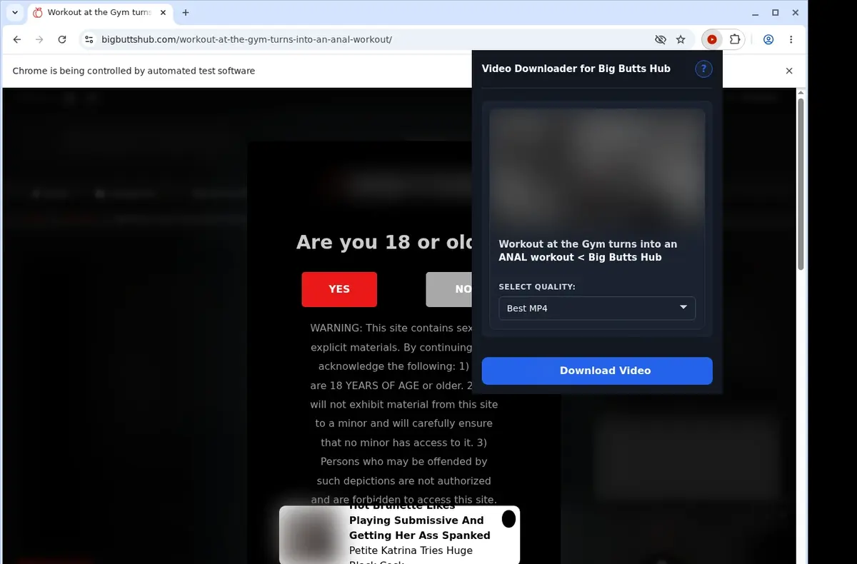 Big Butts Hub Downloader showing detected media ready to download