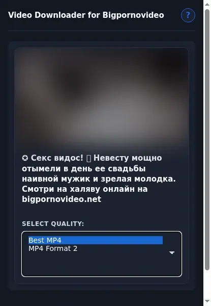 BigPornovideo Downloader format dropdown options