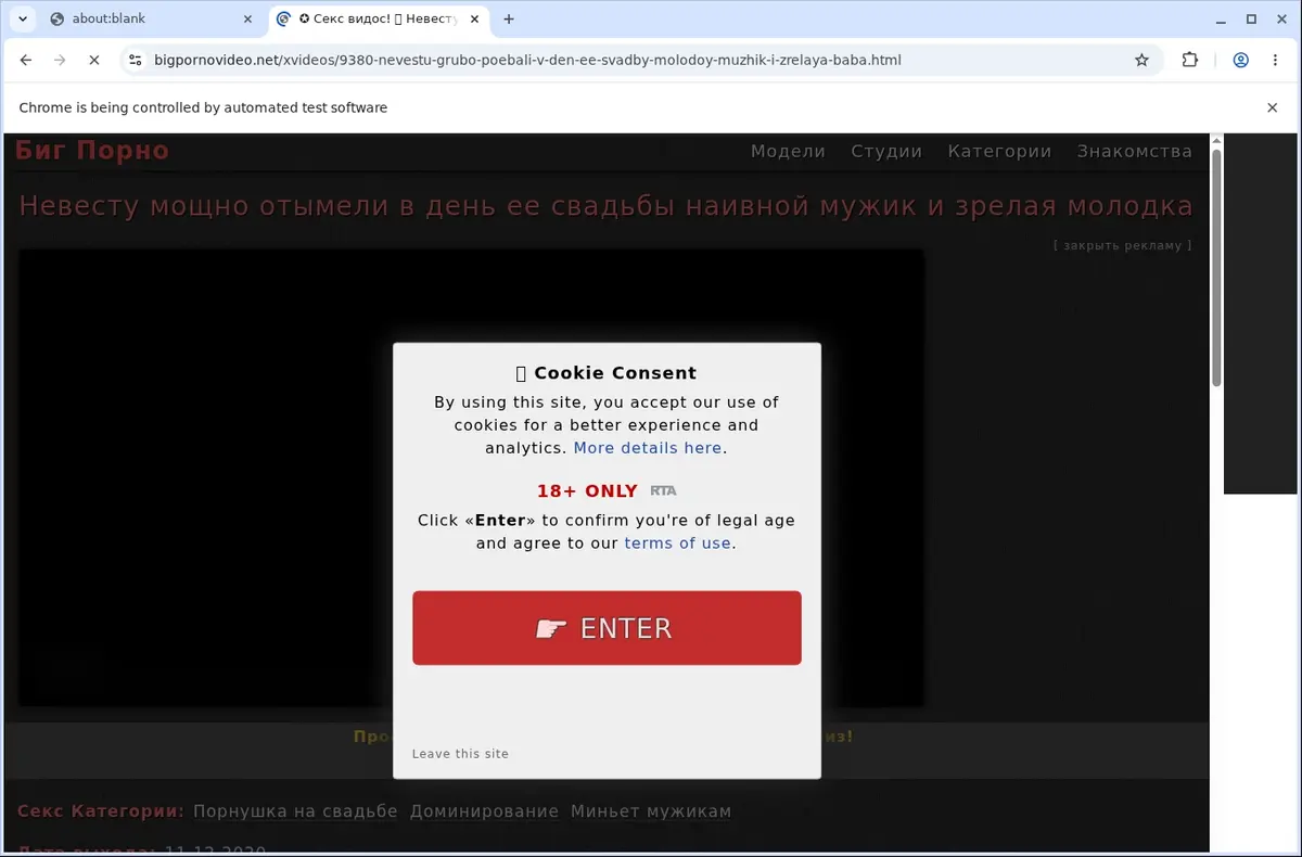 BigPornovideo Downloader page open in the browser