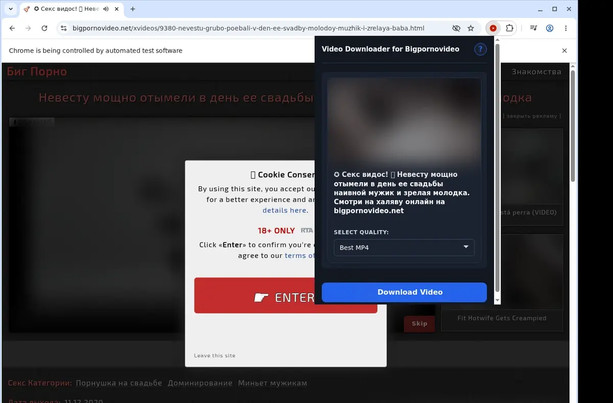 BigPornovideo Downloader showing detected media ready to download