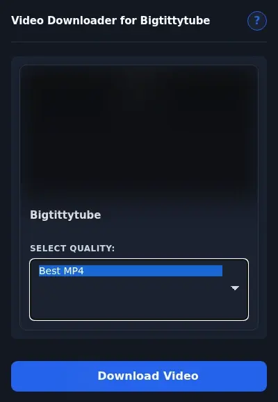 BigTittyTube Downloader format dropdown options