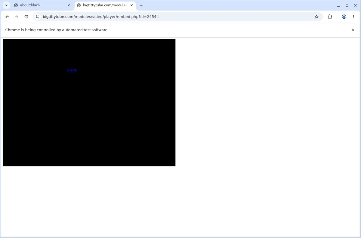 BigTittyTube Downloader page open in the browser