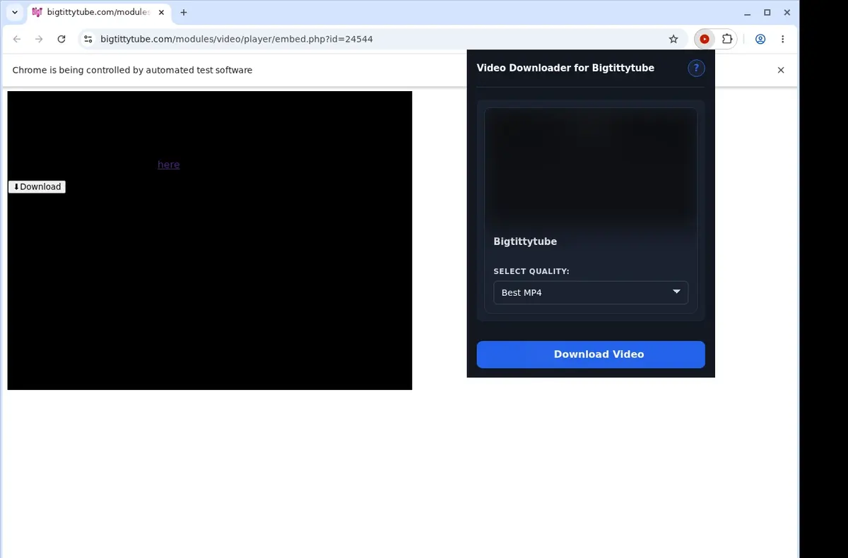 BigTittyTube Downloader showing detected media ready to download