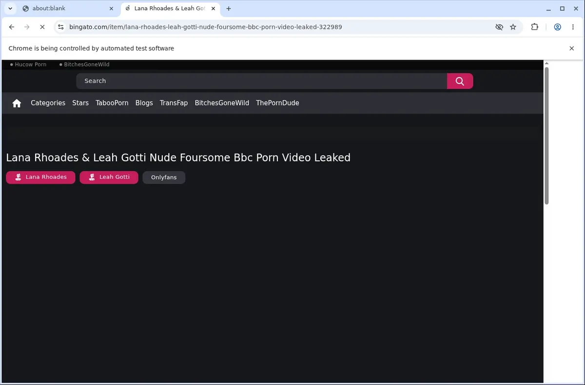Bingato Downloader page open in the browser