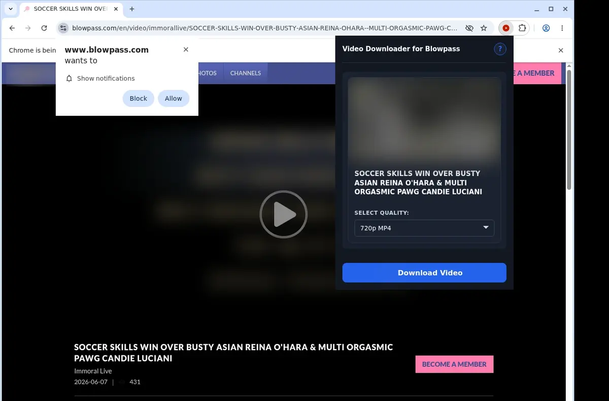 Blowpass Video Downloader showing detected media ready to download