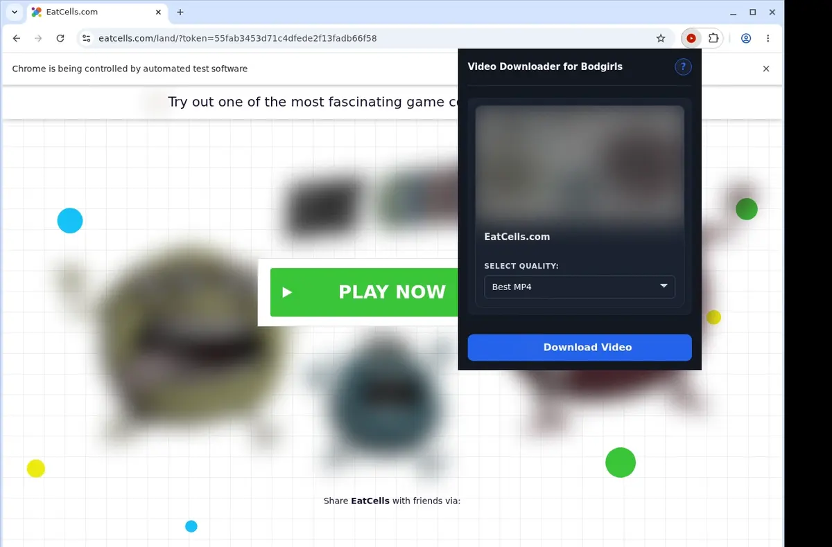 Bod Girls Video Downloader showing detected media ready to download