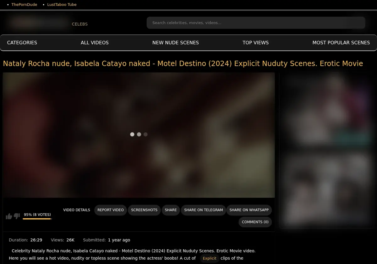 BoobsRadar Video Downloader page open in the browser