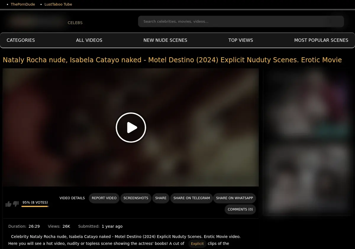 BoobsRadar Video Downloader showing detected media ready to download